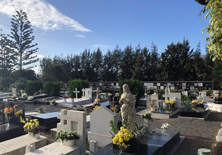 This image for Image Layouts addon