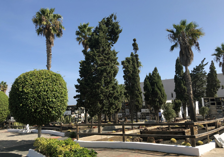 This image for Image Layouts addon