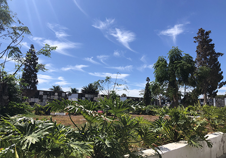 This image for Image Layouts addon